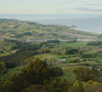 Walk 11 Am October 23