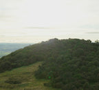 Walk 11 Am October 23