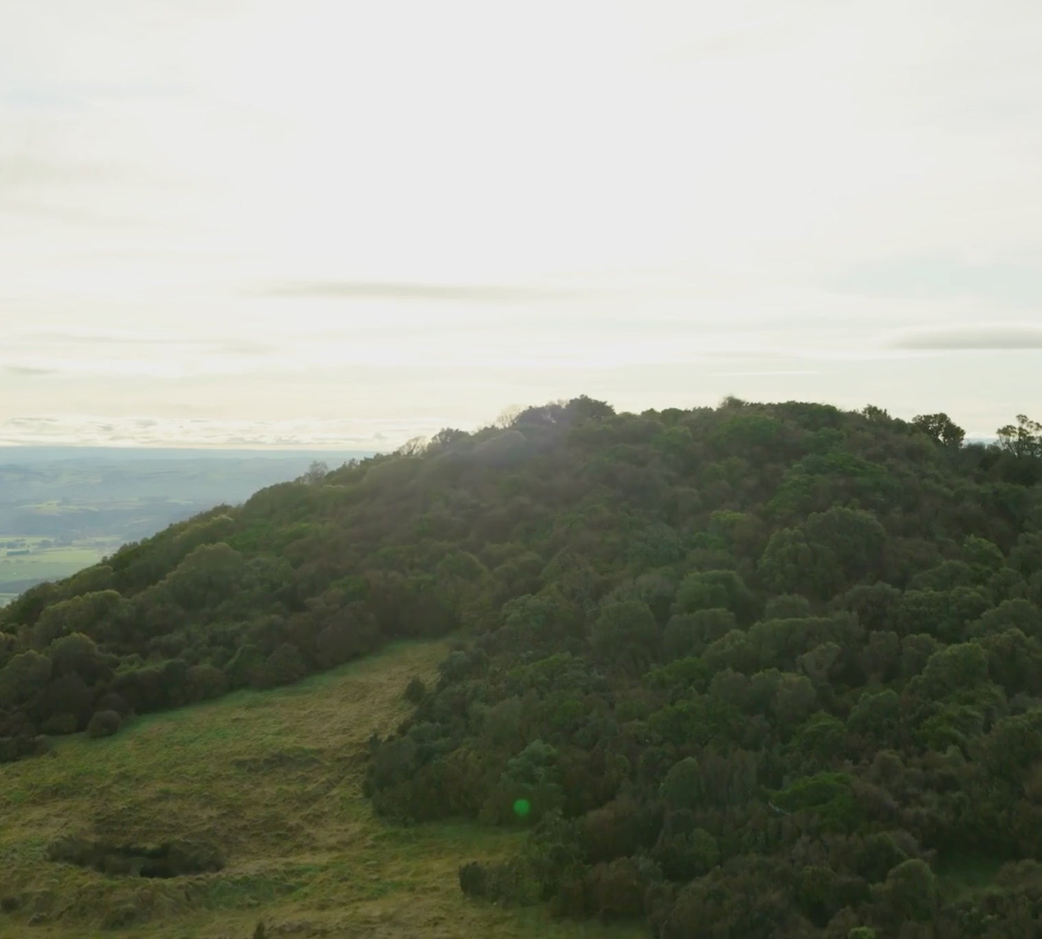 Walk 10Am October 21